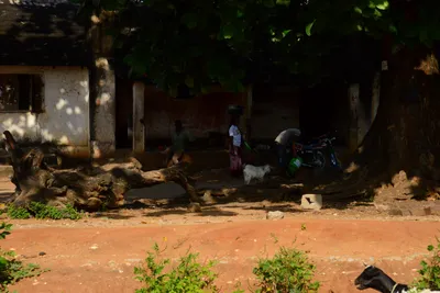 DSC_8472 (Large).JPG